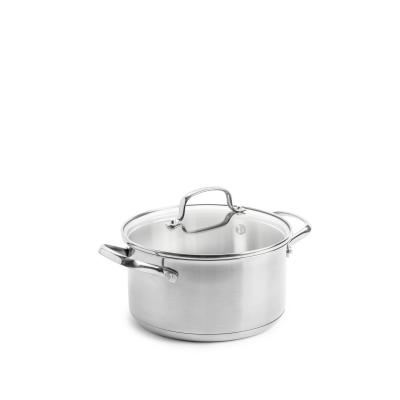 DAGELIJKSE KOST RVS KOOKPOT 20 CM